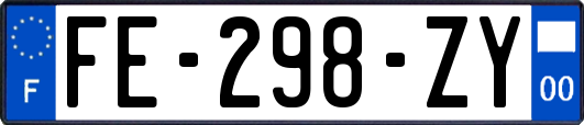 FE-298-ZY