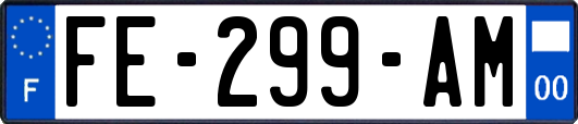 FE-299-AM