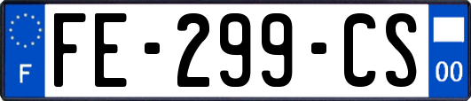 FE-299-CS