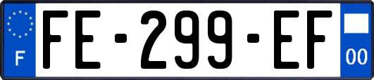 FE-299-EF