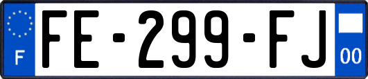 FE-299-FJ