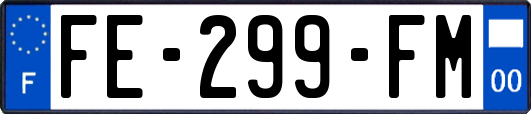 FE-299-FM