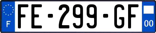 FE-299-GF