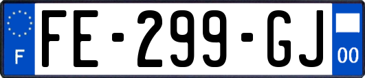 FE-299-GJ