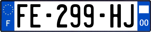 FE-299-HJ