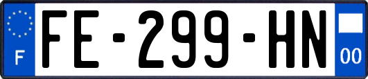 FE-299-HN
