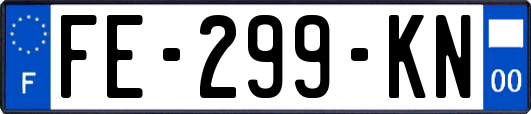 FE-299-KN