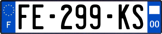 FE-299-KS