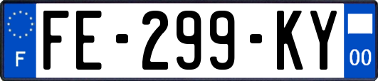 FE-299-KY