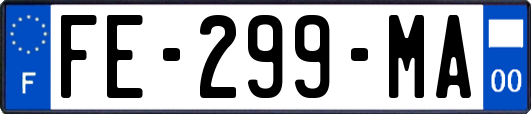 FE-299-MA