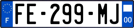 FE-299-MJ