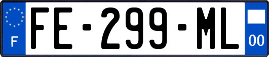FE-299-ML