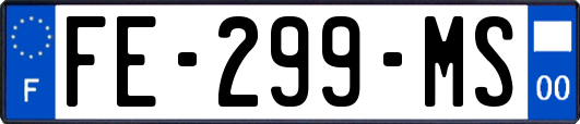 FE-299-MS