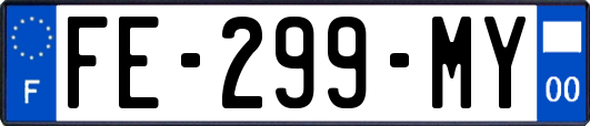 FE-299-MY