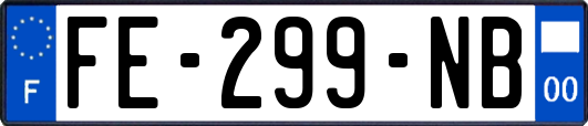 FE-299-NB