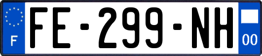 FE-299-NH