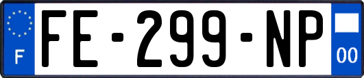 FE-299-NP
