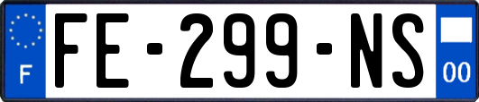 FE-299-NS