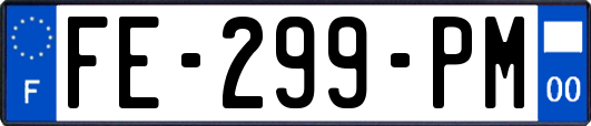 FE-299-PM
