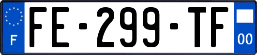 FE-299-TF