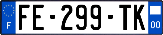 FE-299-TK