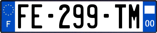 FE-299-TM