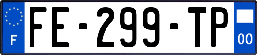 FE-299-TP