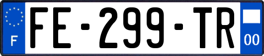 FE-299-TR