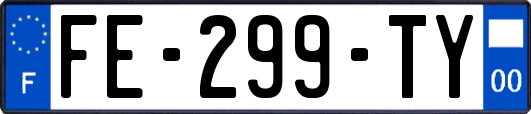 FE-299-TY