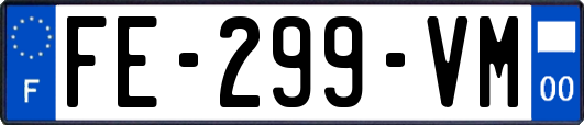 FE-299-VM