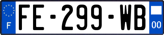 FE-299-WB