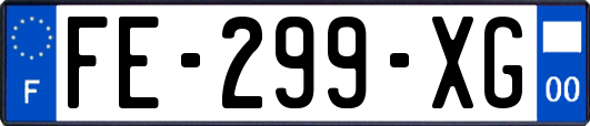 FE-299-XG