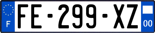 FE-299-XZ