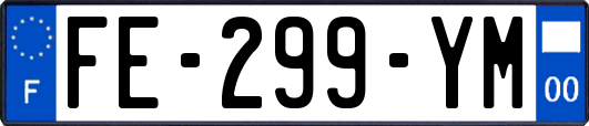 FE-299-YM