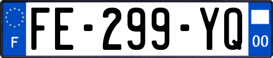 FE-299-YQ