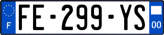 FE-299-YS