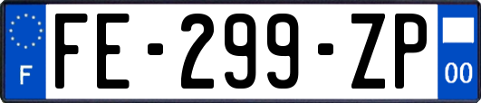 FE-299-ZP