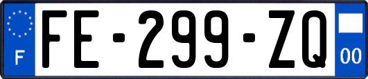 FE-299-ZQ