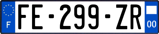 FE-299-ZR