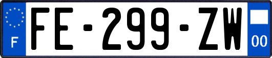 FE-299-ZW