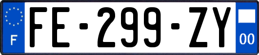 FE-299-ZY
