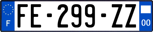 FE-299-ZZ