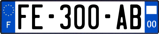 FE-300-AB