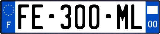 FE-300-ML