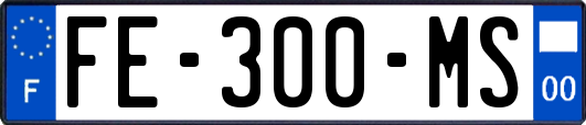 FE-300-MS