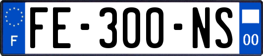 FE-300-NS