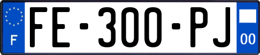 FE-300-PJ