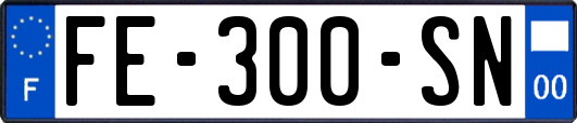 FE-300-SN