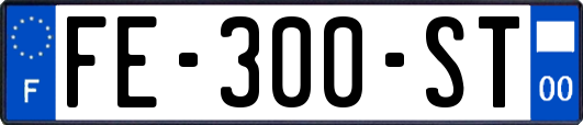 FE-300-ST