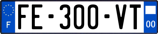 FE-300-VT